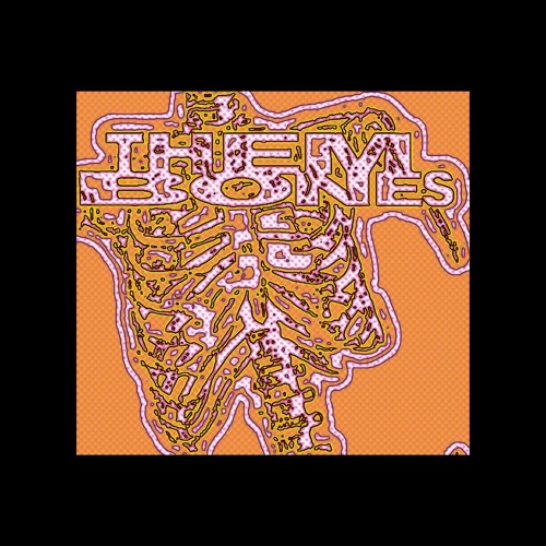 ALICE IN CHAINS // THEM BONES (Cover)