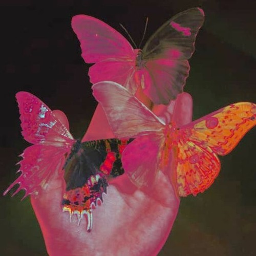 Stream THE BOYZ 몽중 'Butterfly (Thristy Remix)' by ebi Listen online