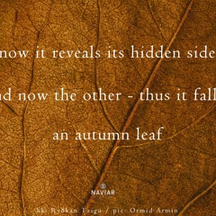 haiku #506: now it reveals its hidden side / and now the other – thus it falls, / an autumn leaf