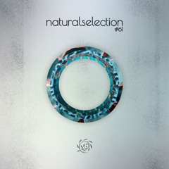 Episodio 61 - Natural Selection