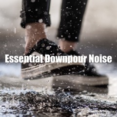 Rhythmic Noise of Rain