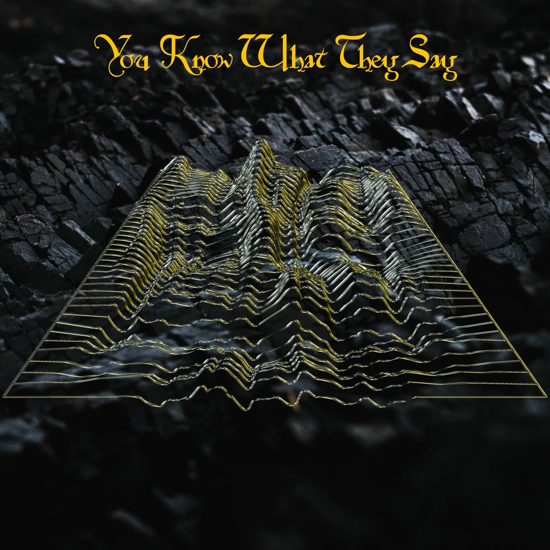Stream You Know What They Say by DUPER | Listen online for free on ...
