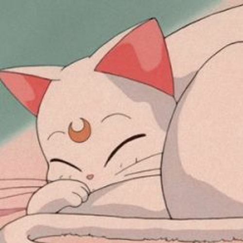 Cat PFP Profile Picture Free Download [Aesthetic & Cute] 
