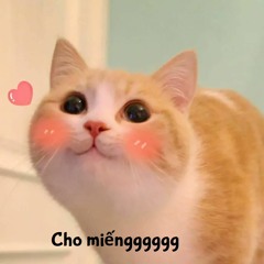 Oopss - VeiruX RMX