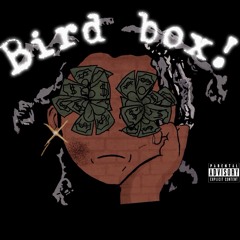 bird box