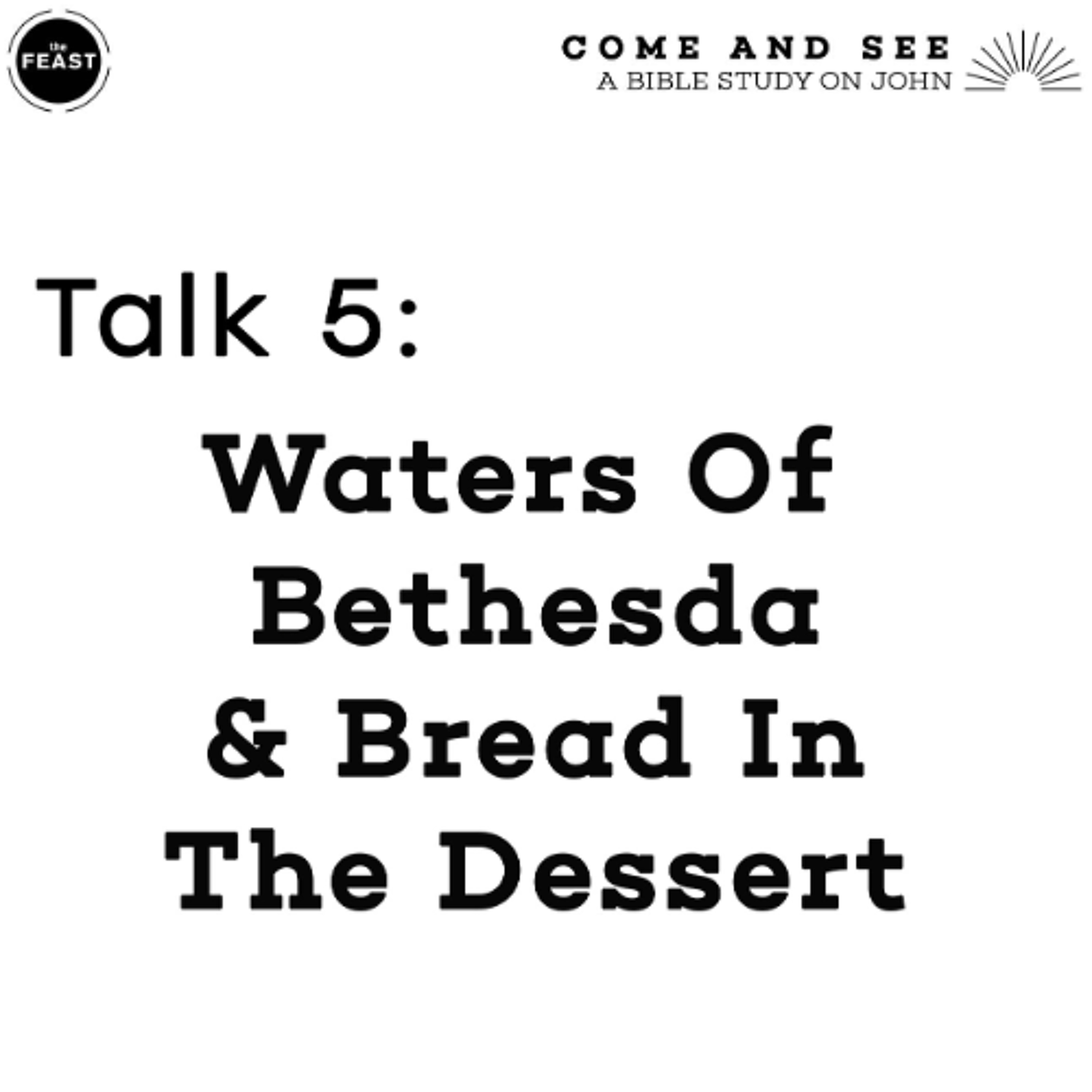 Feast Series: Come and See | Talk 5: Waters of Bethesda & Bread in the Desert