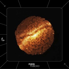 Provided by: Flow de Lis - tinieblas [30.10.25]