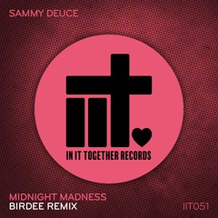 Sammy Deuce - Midnight Madness (Birdee Remix)