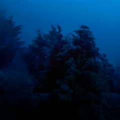 Chill Playlist 💤 Relaxing Vibes 🌌 Slowed Music 🔊