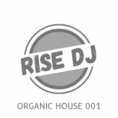 RISE DJ - Organic House 001