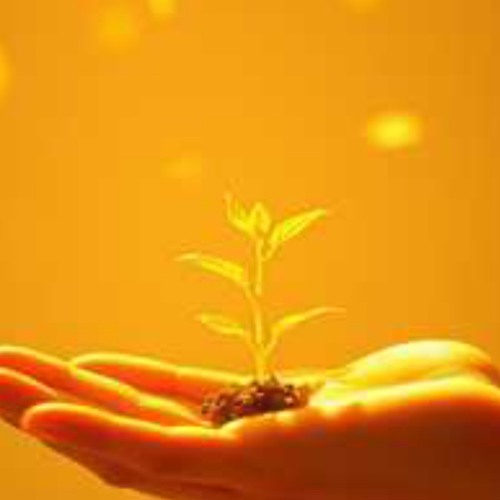 Golden Flow of Abundance