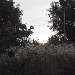 глупая шутка - теперь буду