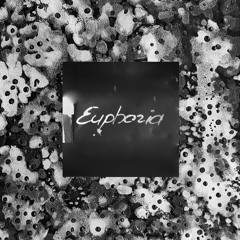 Euphoria(feat Linden)