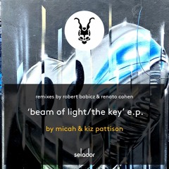 Beam Of Light (Robert Babicz Ambient Remix)
