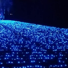 Midlights