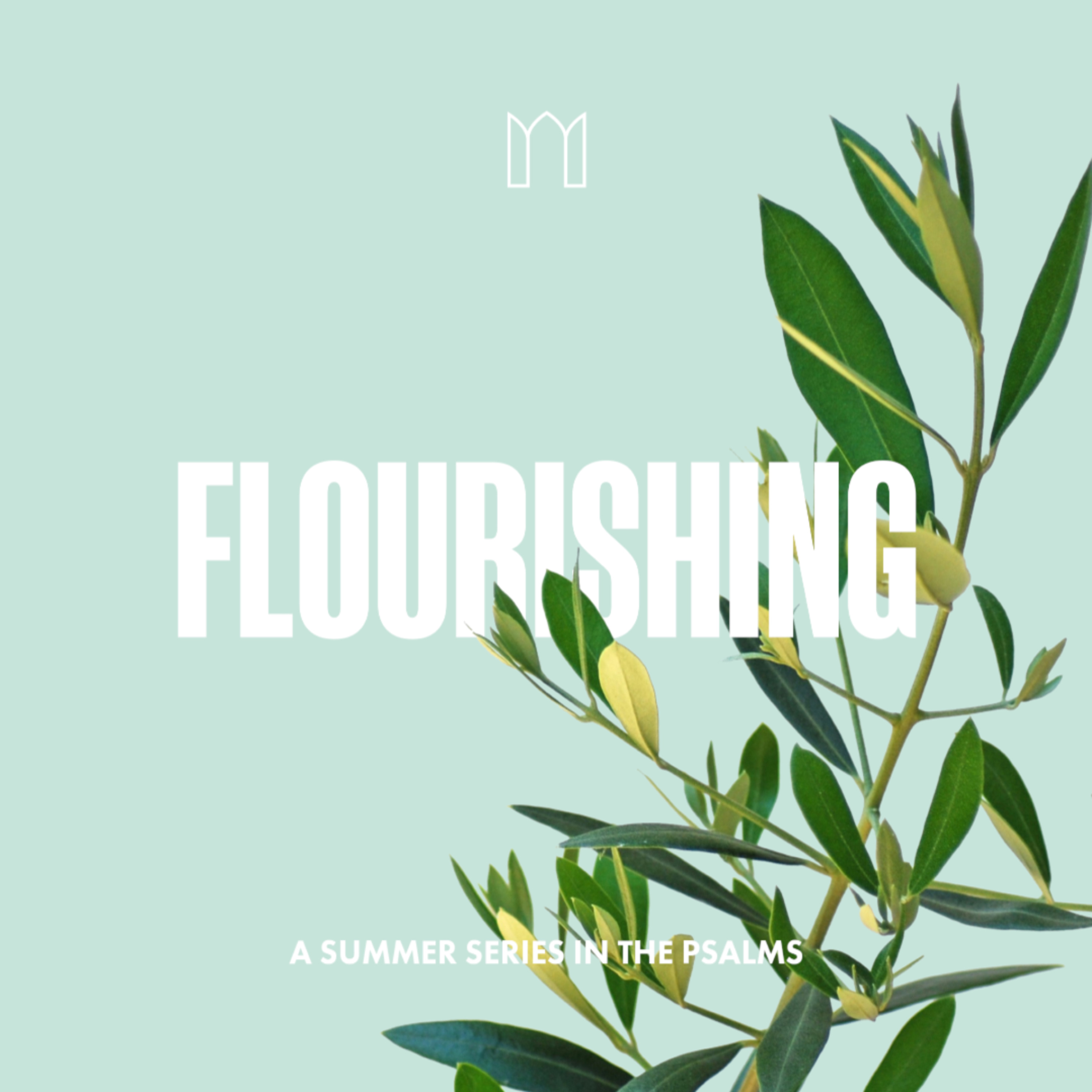 Psalm 52:1-9 | Rob Morgan | 16th August 2026 episode artwork