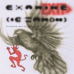 examine-mix-94-w-akane-2024-12-12