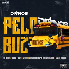 DIVINOS - Pelo Buzz 💯