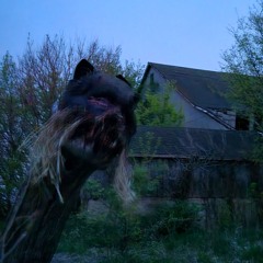 Swine Country