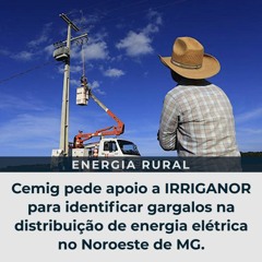 Cemig pede apoio a IRRIGANOR para identificar gargalos na distribuição de energia elétrica