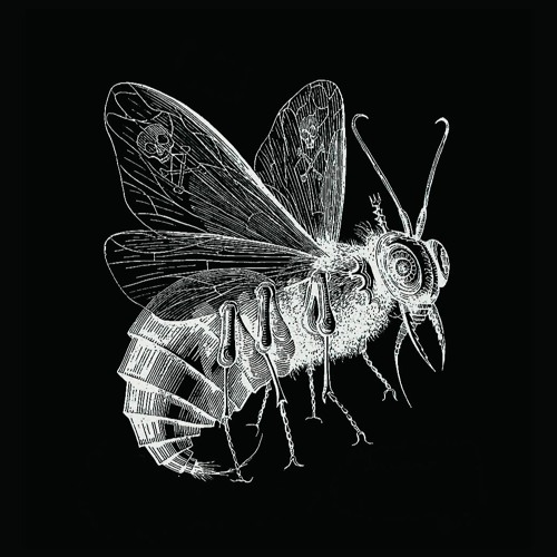 Waspy biter, skulls on wings — Mix 006