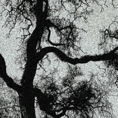 Lagrimas De Papel (Demo)
