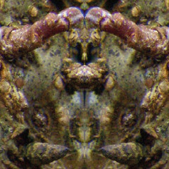 KR_Sinfonie Nr.2 "EGGERT" – Satz Nr.6