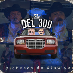 El Del 300