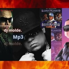 Mix - Reggaeton - Wisin Y Yandel - Daddy Yankee - Hector El Father.- Dj Molde.