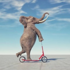 AUDIO COMBAT 7 16 25