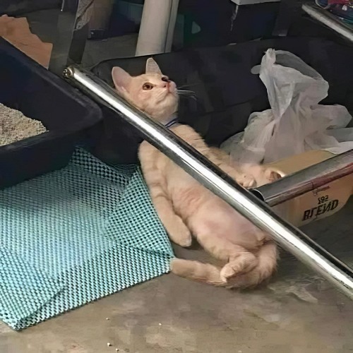Đạt hehe