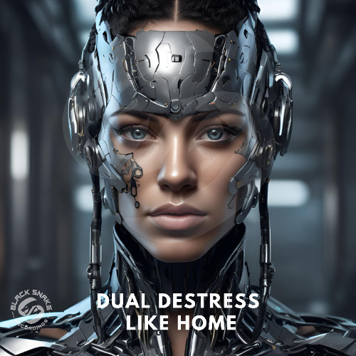 Dual DeStress Like Home (Orginal mix)