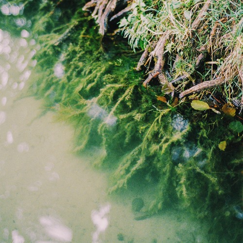 𝙡𝙞𝙦𝙪𝙞𝙙𝙩𝙞𝙢𝙚 #16 ft Cousin: Babbling Brook @refugeworldwide (LIVE from Kwia)