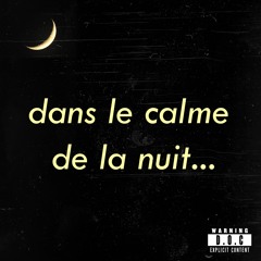 DJ D.O.C - DANS LE CALME DE LA NUIT... (SHATTA MIX)