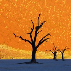 house/pop/rap mixes