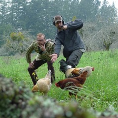 Storm Dogs by Coolzey and the Warden