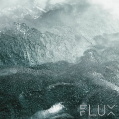 FLUX 007