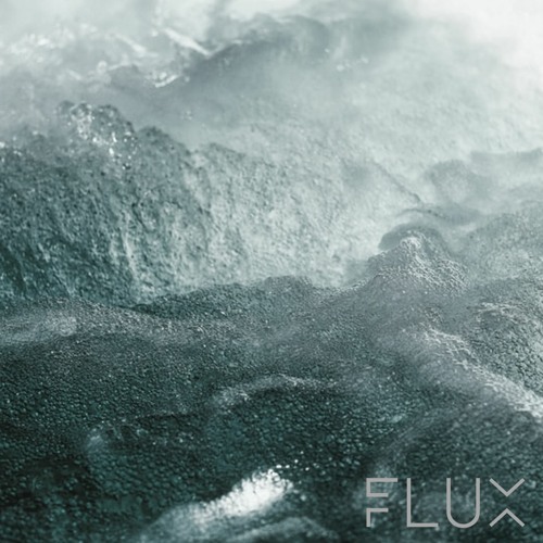 FLUX 007