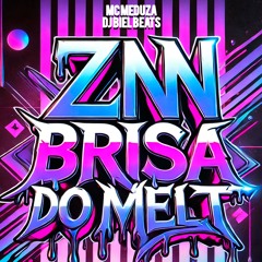 ZN NA BRISA DO MELT - MC MEDUZA E DJ BIEL BEATS