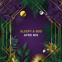 Sleepy & Boo - Afro Mix Feb. 2025