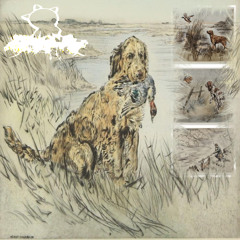 a colorful world of grey it was hard for you to stay