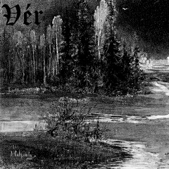 Wander the Bog
