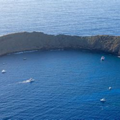 Best Snorkeling At Molokini Crater Maui Prices Reviews