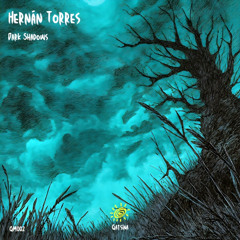 Hernán Torres - Dark Shadows  [Qatsina Music]