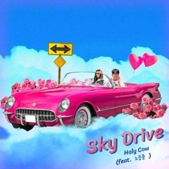 Sky Drive Remix (Feat. 노승준) - Holy Cow