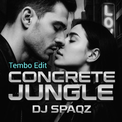 DJ Spaqz - Concrete Jungle - Tembo version