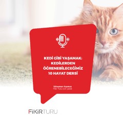 Kedi gibi yaşamak: Kedilerden öğrenebileceğimiz 10 hayat dersi