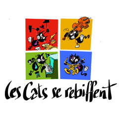 Les Cats se rebiffent News 19 - 20 05 24