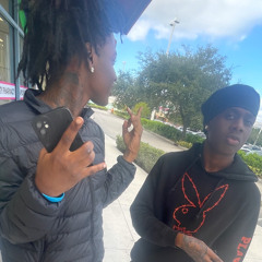 liwiz - ts4l