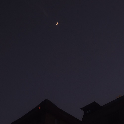 HOME BY NIGHTS.